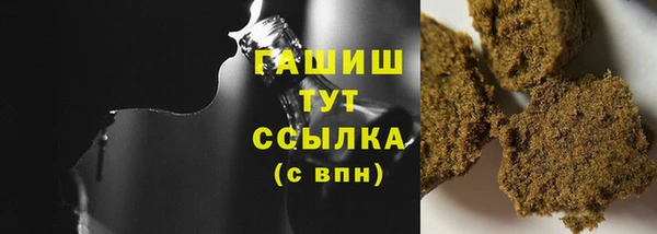 твердый Гусев