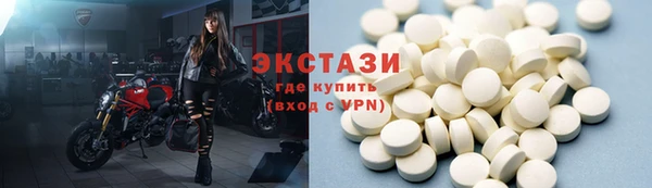 твердый Гусев