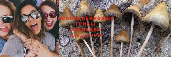 герыч Гусь-Хрустальный