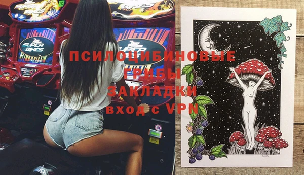 твердый Гусев